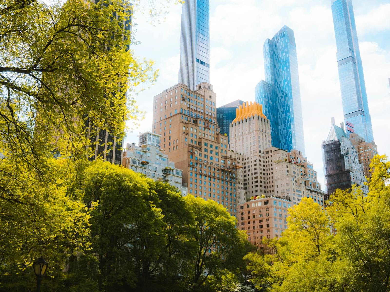 Central Park greenery with Manhattan towers in the background