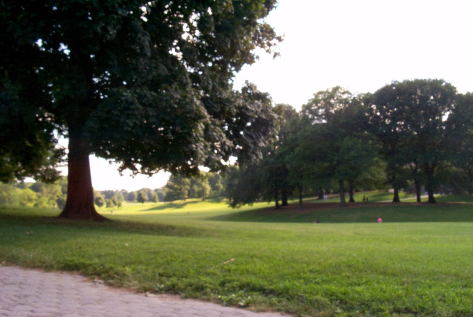 Long Meadow in Prospect Park, Brooklyn